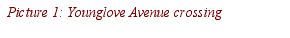 Text Box: Picture 1: Younglove Avenue crossing