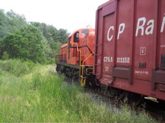 Crossing Route 22 GJ