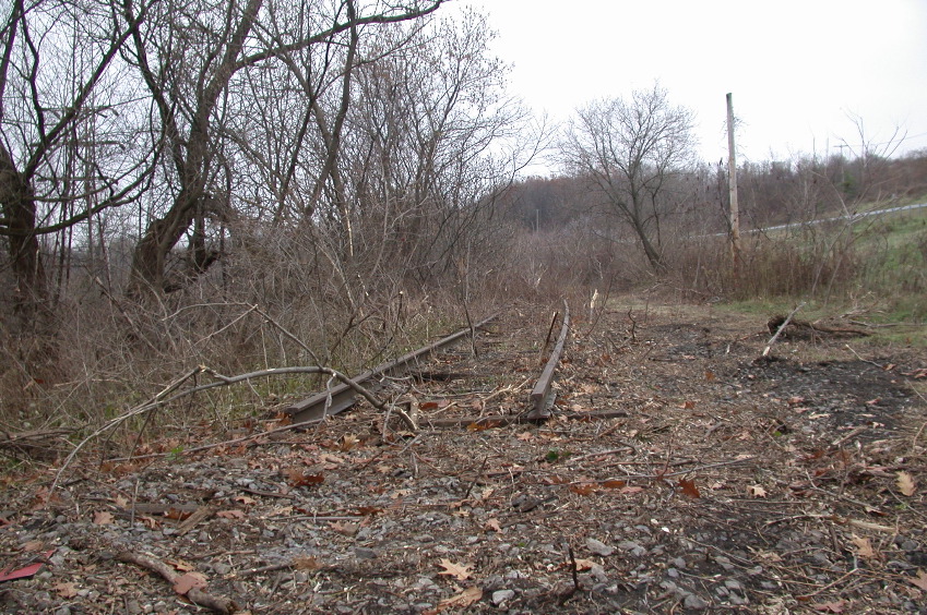 8-east